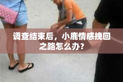 调查结束后，小鹿情感挽回之路怎么办？