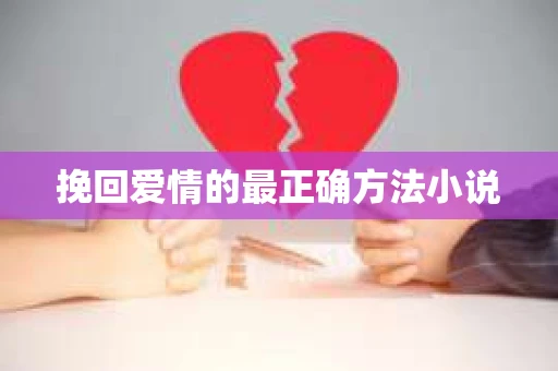 挽回爱情的最正确方法小说