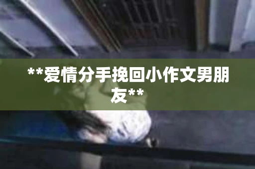 **爱情分手挽回小作文男朋友**
