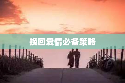 挽回爱情必备策略 挽回爱情必备策略
