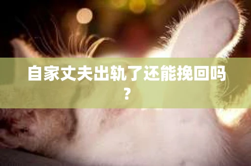 自家丈夫出轨了还能挽回吗？