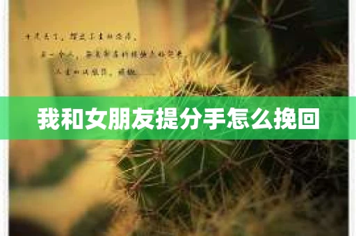 我和女朋友提分手怎么挽回