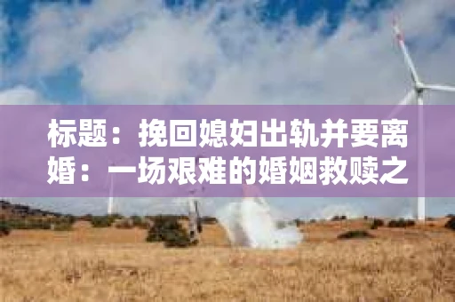 标题：挽回媳妇出轨并要离婚：一场艰难的婚姻救赎之路