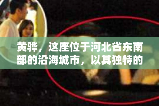 黄骅，这座位于河北省东南部的沿海城市，以其独特的地理位置和丰富的历史文化而闻名。然而，在这座城市中，还有一群人，他们以另一种方式默默守护着社会的公平与正义——私家侦探。今天，我们就来聊聊黄骅的私家侦探，看看他们是如何在这个城市中发挥作用的。