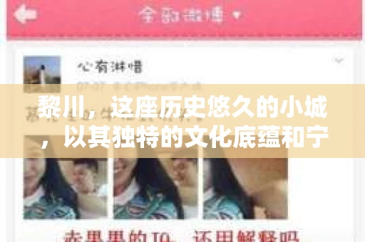 黎川，这座历史悠久的小城，以其独特的文化底蕴和宁静的生活节奏吸引着无数游客。然而，在这样一个看似平静的城市里，你是否会好奇，有没有私家侦探机构的存在呢？今天，就让我带你一探究竟。