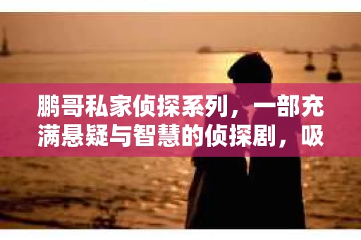 鹏哥私家侦探系列，一部充满悬疑与智慧的侦探剧，吸引了无数观众的眼球。今天，就让我带你走进这个充满神秘色彩的侦探世界，一起在线观看鹏哥私家侦探系列，感受那扣人心弦的故事情节。