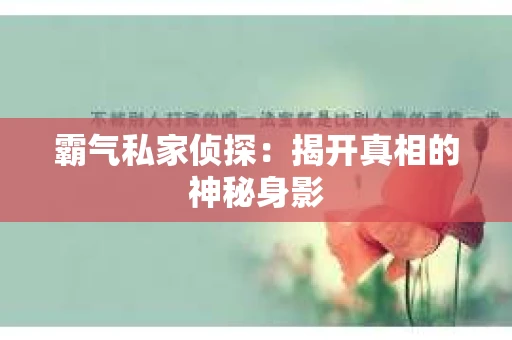 霸气私家侦探：揭开真相的神秘身影