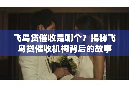 飞鸟贷催收是哪个？揭秘飞鸟贷催收机构背后的故事