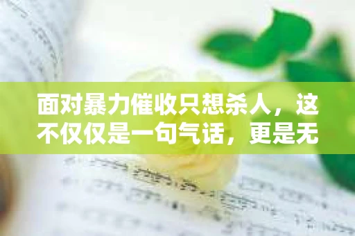 面对暴力催收只想杀人，这不仅仅是一句气话，更是无数借款人内心深处的恐惧。在这个看似光鲜亮丽的现代社会，暴力催收现象却如同毒瘤般蔓延，让人防不胜防。今天，我们就来聊聊这个沉重的话题，揭开暴力催收的冰山一角。