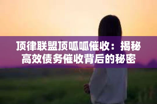 顶律联盟顶呱呱催收：揭秘高效债务催收背后的秘密