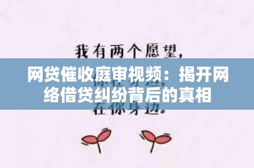 网贷催收庭审视频：揭开网络借贷纠纷背后的真相