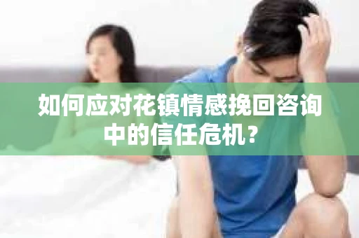 如何应对花镇情感挽回咨询中的信任危机？