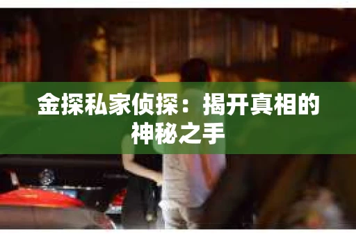 金探私家侦探：揭开真相的神秘之手