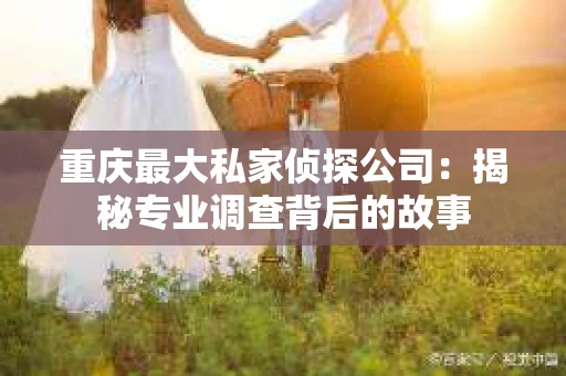 重庆最大私家侦探公司：揭秘专业调查背后的故事