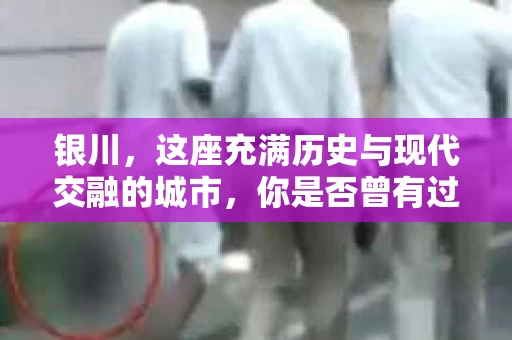 银川，这座充满历史与现代交融的城市，你是否曾有过这样的疑问：银川有私家侦探公司吗？今天，就让我带你一起揭开这个谜团。