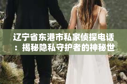 辽宁省东港市私家侦探电话：揭秘隐私守护者的神秘世界
