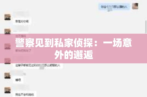 警察见到私家侦探：一场意外的邂逅