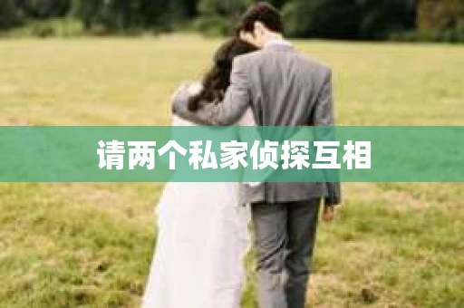 请两个私家侦探互相 请两个私家侦探互相