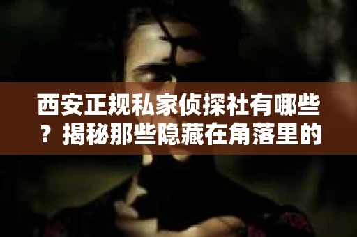 西安正规私家侦探社有哪些？揭秘那些隐藏在角落里的神秘力量