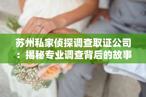 苏州私家侦探调查取证公司：揭秘专业调查背后的故事