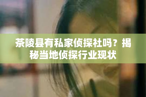 茶陵县有私家侦探社吗？揭秘当地侦探行业现状
