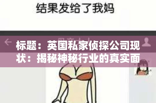 标题：英国私家侦探公司现状：揭秘神秘行业的真实面貌