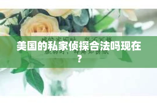 美国的私家侦探合法吗现在？