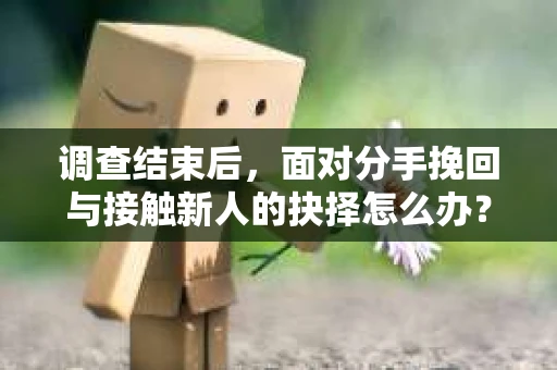 调查结束后,面对分手挽回与接触新人的抉择怎么办? 调查结束后,面对分手挽回与接触新人的抉择怎么办?