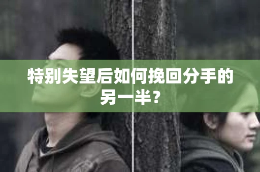 特别失望后如何挽回分手的另一半？
