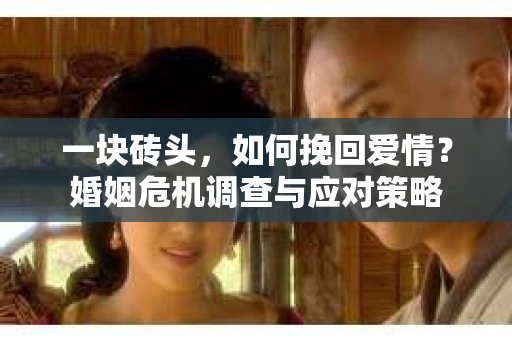 一块砖头，如何挽回爱情？婚姻危机调查与应对策略