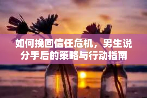 如何挽回信任危机，男生说分手后的策略与行动指南