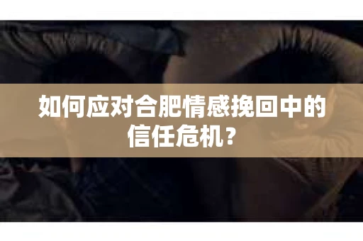 如何应对合肥情感挽回中的信任危机？