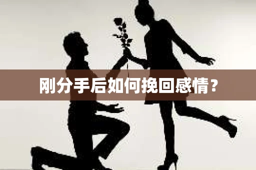 刚分手后如何挽回感情？